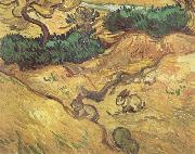 Field with Two Rabbits (nn04) Vincent Van Gogh